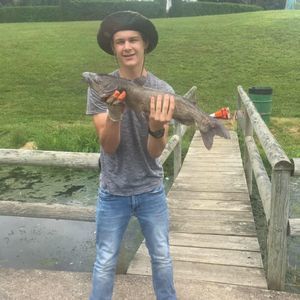 Meet your Posher, Jimmy